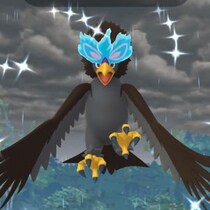 ヒスイウォーグルが久しぶりに登場中 / 「空を飛ぶ影」イベント中のレイドでバルジーナ厳選も捗る【ポケモンGO】