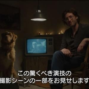 【ほっこり】“主演犬”の名演を引き出す撮影方法が明らかに　犬視点のホラー映画『GOOD BOY／グッド・ボーイ』メイキング映像［ホラー通信］