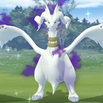 「シャドウレシラム」強化は慌てなくてOK / 将来シャドウレイドに登場してから個体値厳選という選択肢【ポケモンGO】