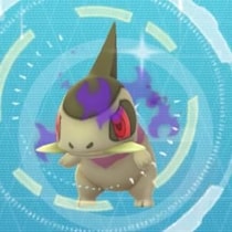 シャドウキバゴ厳選がガチすぎる / 進化後のシャドウオノノクスがドラゴンタイプの環境を破壊【ポケモンGO】