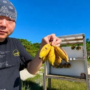 【グルメ】沖縄に行ったらバナナを食べましょうねバナナね美味しいバナナね