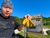 【グルメ】沖縄に行ったらバナナを食べましょうねバナナね美味しいバナナね