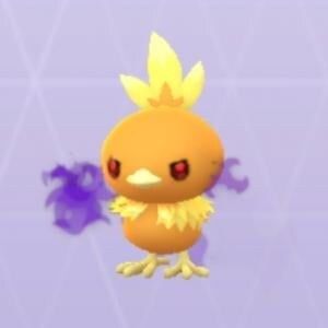 シャドウアチャモが久々の復刻 / メガリザードンYやズガドーンに匹敵するレイドアタッカーを入手せよ【ポケモンGO】