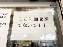 【犬猫捨てないで】オイ！ やめろ！ 沖縄の秘島・奥武島に動物を捨てる者たち