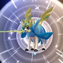 【GOフェスグローバル】レイドバトル周回スピードが激変 / “きょじゅうざん”でメガミュウツーに1戦でも多く挑戦しよう【ポケモンGO】