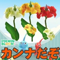 『ピクミン ブルーム』猛暑に快適なひとときを!! カンナが咲く最新環境ガイドプレイログ#1165】