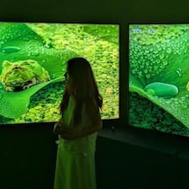 TCLのSQD-Mini LED搭載テレビはなぜ高画質なのか　その理由が中国の開発・製造拠点に行って分かった気がする