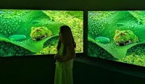 TCLのSQD-Mini LED搭載テレビはなぜ高画質なのか　その理由が中国の開発・製造拠点に行って分かった気がする