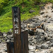 【日本封印ミステリー】栃木県那須郡那須町の九尾の狐と「殺生石」