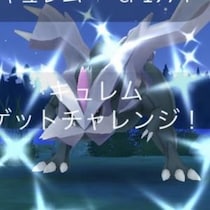 キュレムのアメは何個あっても足りない / “フリーズボルト”と“コールドフレア”の弾を補充しておこう【ポケモンGO】