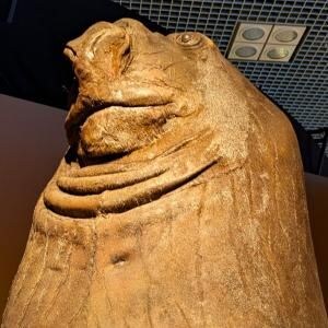 巨大ナマケモノに驚き!「いきもの超ワールド展」で感じる生命の進化【国立科学博物館】