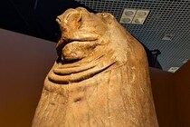 巨大ナマケモノに驚き！「いきもの超ワールド展」で感じる生命の進化【国立科学博物館】
