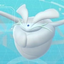 色違いユキハミを狙うなら5kmタマゴ一択 / 実はヒヒダルマも狙い目な理由【ポケモンGO】