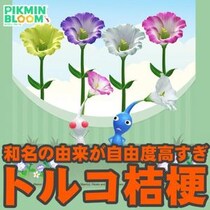 『ピクミン ブルーム』トルコ原産でもキキョウ科でもない!! トルコキキョウが咲く最新環境ガイド【プレイログ#1175】