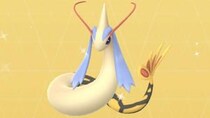 ミロカロスの作成でポケコインの回収効率を高めよう / 今のうちに高CPヒンバスをゲットするのだ【ポケモンGO】