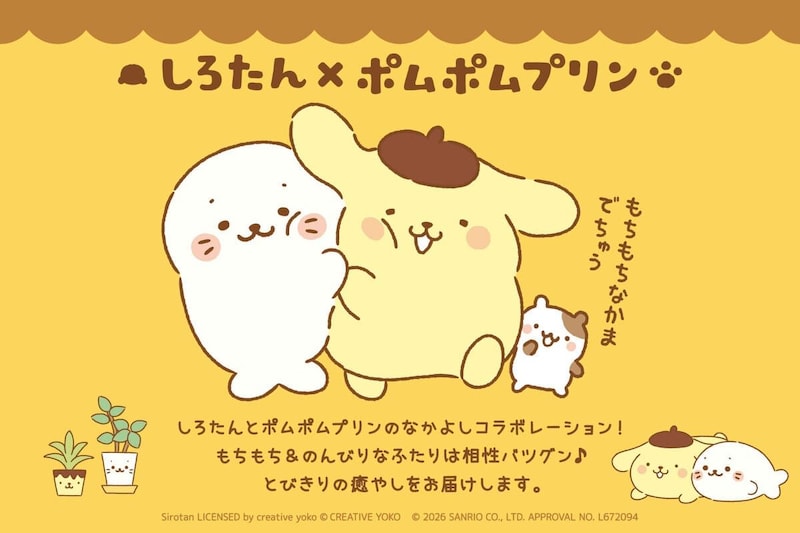 しろたん×ポムポムプリン