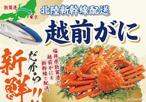 【11/29限定】イオンのブラックセールで"水揚げ当日"の「越前がに」登場！関東で買えるのは今日だけ。