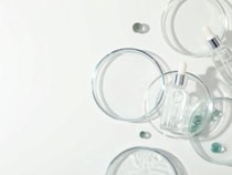 アラサーとアラフォーではシミケアもシワケアも違う？化粧品でアプローチするなら、どんな成分を選ぶべき？美容のプロの答えは...。