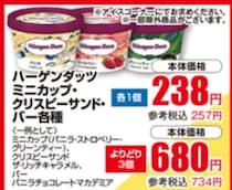 【東急ストアのチラシ】ハーゲンダッツが257円！週末の注目商品をチェック《16日～18日》