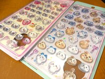 話題の「ボンボンドロップ」はどこで買える？絶対押さえておきたいポイントを紹介！