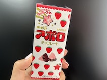 真美子夫人のセンスに拍手...！差し入れのチョイスが最高と話題。コンビニでも買えるお馴染みのお菓子がどっさり。
