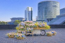 【横浜】お花、栽培キットをプレゼント！3連休の横浜エリアは魅力がいっぱい。