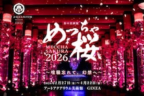 桜と金魚の幻想的な空間を楽しめる室内美術館