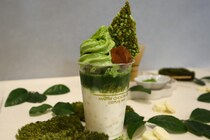 【リンツ】新作の限定抹茶ドリンクはまるで"飲むパフェ"。抹茶欲を満たす衝撃の濃さ。《試飲レビュー》