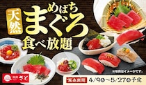 【和食さと】期間限定で"天然めばちまぐろ"が食べ放題に！お造りに赤身にぎりも...。思う存分味わい尽くせるよ～。