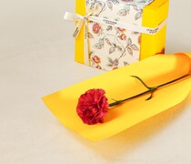 【ロクシタン】3日間限定で"カーネーション"がもらえる！母の日にぴったりなキャンペーン見つけた。《5月8日～10日》