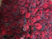 【横浜中華街】バラがもらえるなんてうれしい！5月30日・31日にお花を一輪プレゼント