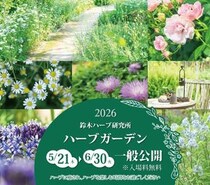 【茨城】入園無料！500種類以上のハーブが見ごろを迎える「鈴木ハーブ研究所ハーブガーデン」《6月30日まで》