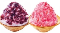「ありえないデカさ」コメダの夏の風物詩「かき氷」が26年も販売スタート。アサイーボウルに黒蜜きなこも！