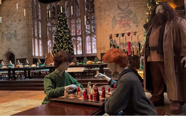 クリスマス休暇のシーンを再現するように、チェスに興じるハリーとロンの姿も