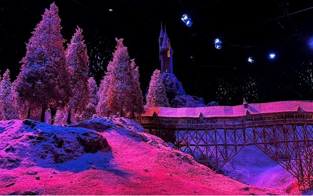 奥に見える塔がふくろう小屋。『ハリー・ポッターと炎のゴブレット』でチョウ・チャンをダンスに誘うシーンはこの場所で