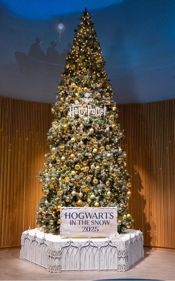 スタジオツアー東京では、展示以外にもクリスマスの装飾が