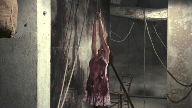 美しくも恐ろしい雰囲気を纏った独特の作風が楽しめる(『笑む窓のある家』)