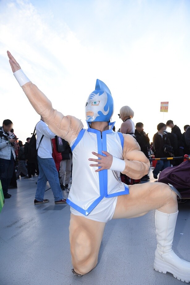 「キン肉マン」キン肉マンマリポーサ／まりんさん