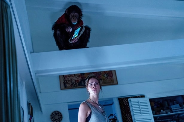 【写真を見る】「海底47m」シリーズの監督が放つ新たなシチュエーションホラーは、豪邸×チンパンジー×狂犬病！