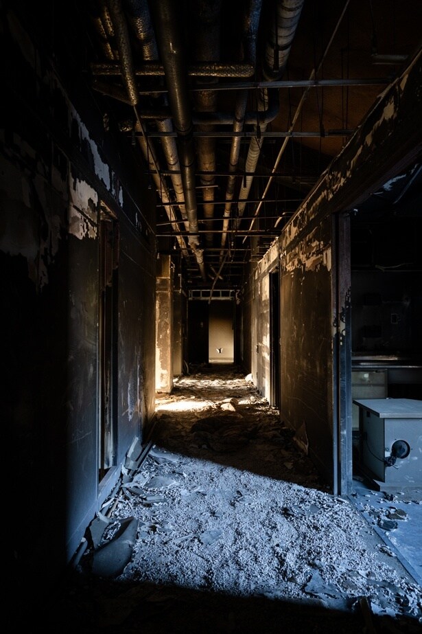 ボーっと見つめていると吸い込まれてしまいそう…