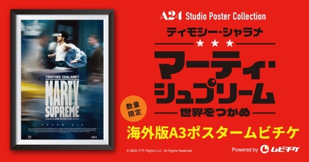 【写真を見る】A3サイズ海外版ポスターがついたムビチケ前売券(カード)