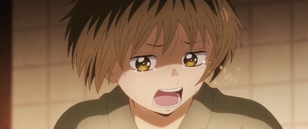 生き別れの母を探す少年、晴太の願いを叶えるため、銀時たちは壮絶な戦いに身を投じていく