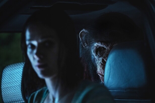 人間を手玉に取るベン。もはや逃げ切るのが無理ゲー