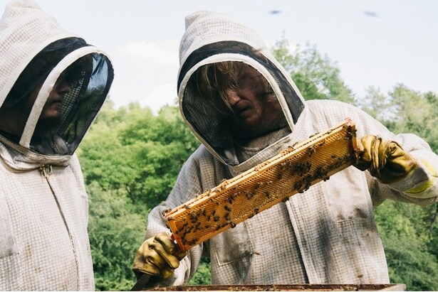 【写真を見る】タイトル「ブゴニア」はミツバチが腐敗した雄牛の死骸から自然発生したというギリシャ神話から引用されている