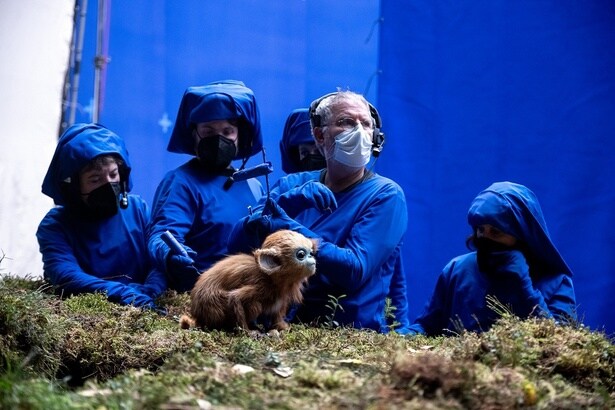 【写真を見る】オチを操作する人形師たち