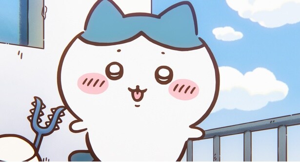 一枚のチラシに興味津々なハチワレ