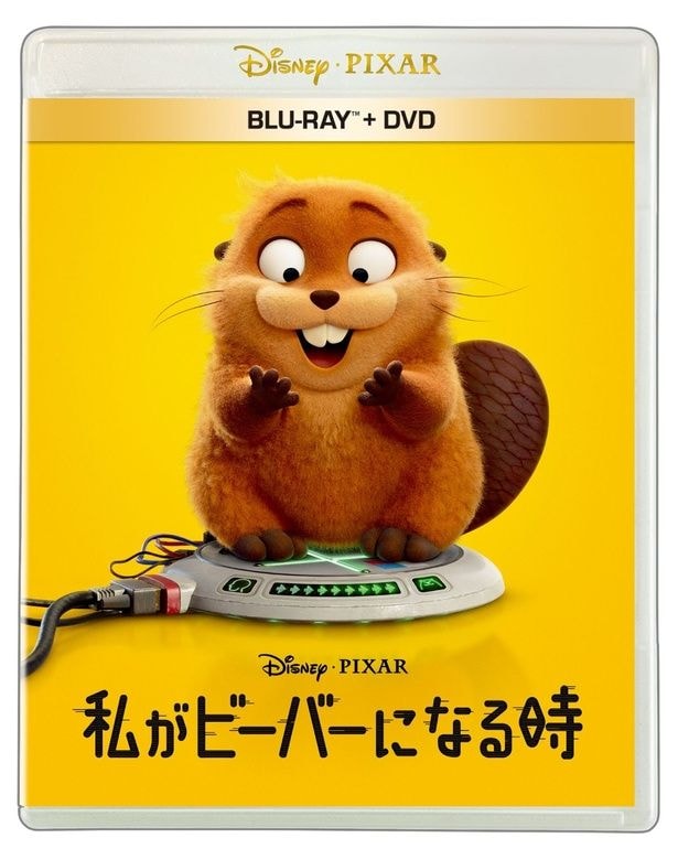 『私がビーバーになる時』ブルーレイ＋DVDセット、4K UHD＋ブルーレイセットが7月に発売決定！