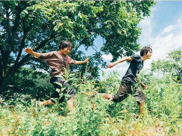 『怪物』は、演出のアプローチをこれまでとは変えた1作