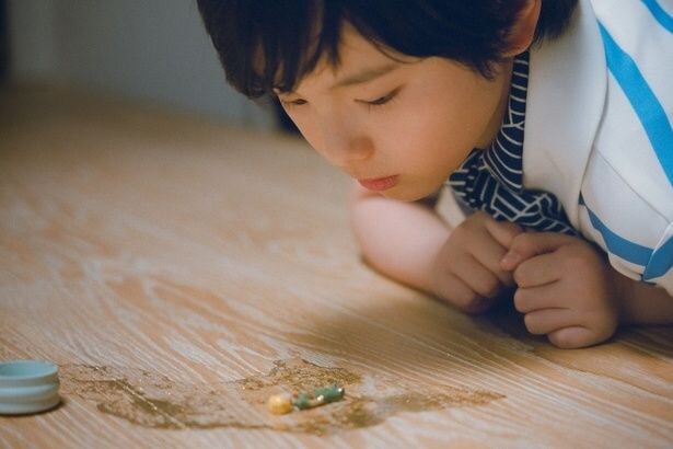 繊細でナチュラルな演技は、本格的な演技経験は初めてとは思えないほど(『箱の中の羊』)
