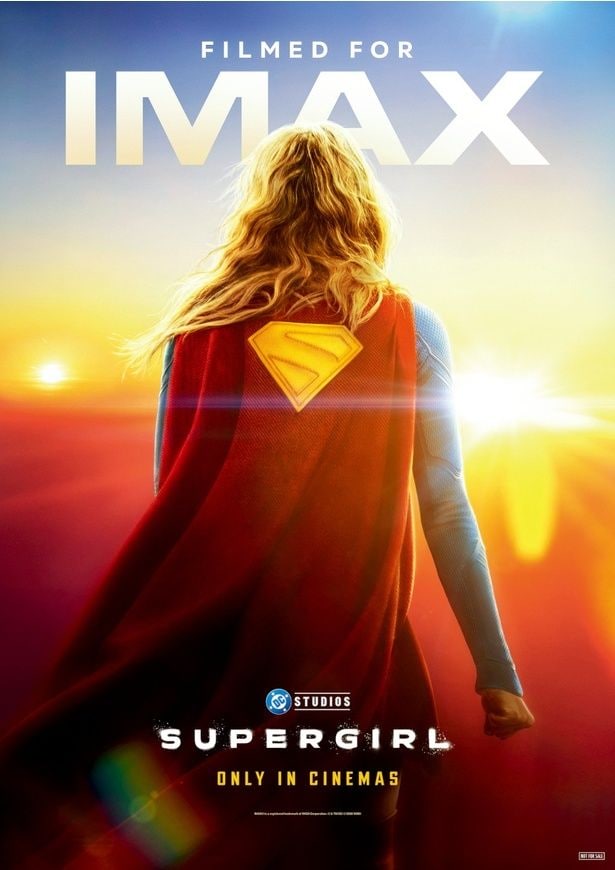 【写真を見る】こちらも欲しい!IMAX入場者特典は、IMAXビジュアルのA3ポスター